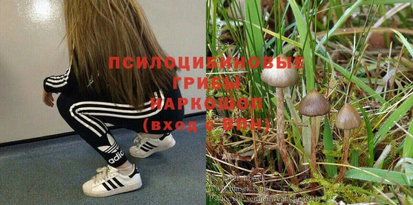 меф Кукмор